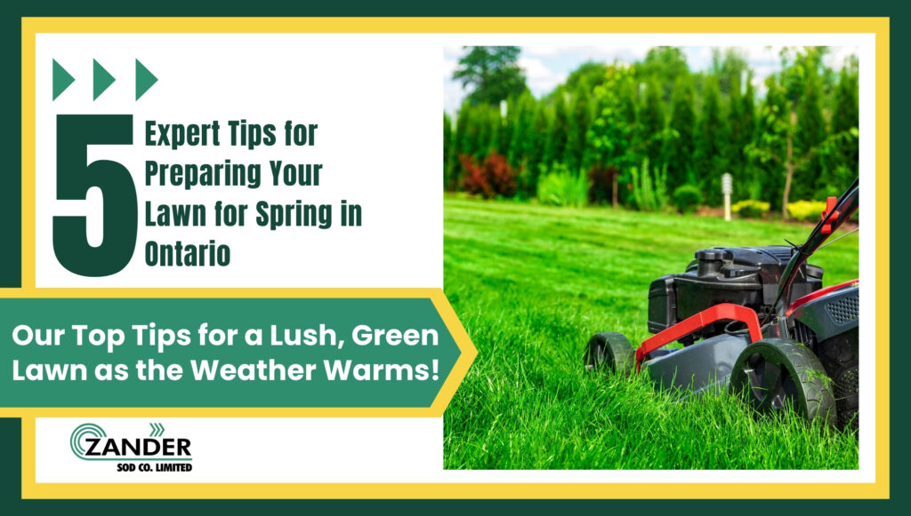 5 expert tips for preparing your lawn for spring in Ontario