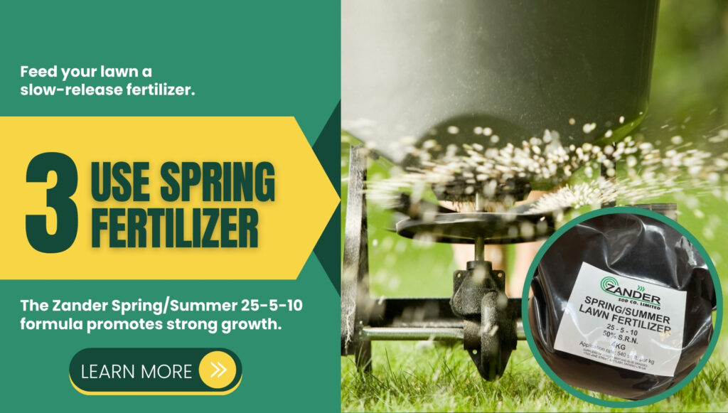 Use Spring Fertilizer