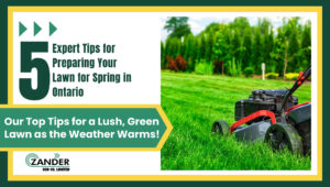 5 Tips for a Great Lawn from Zander Sod
