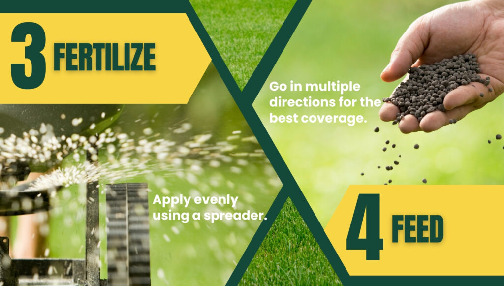 Fertilize and feed