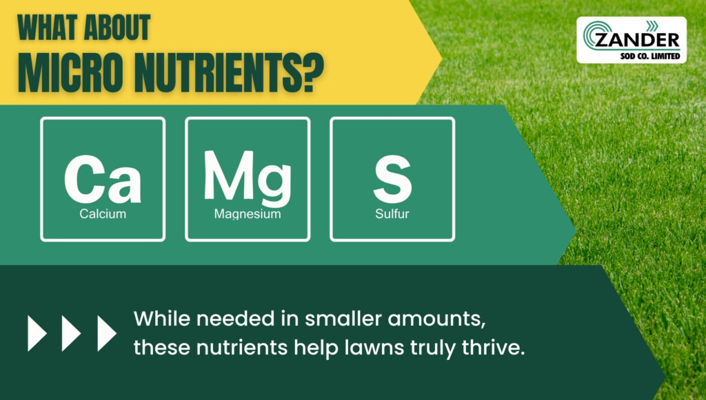 What about micro nutrients?
