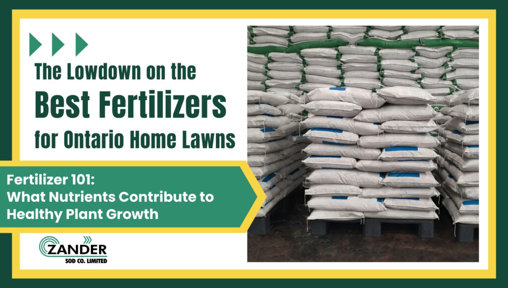 The Lowdown on the best fertilizers for Ontario home lawns