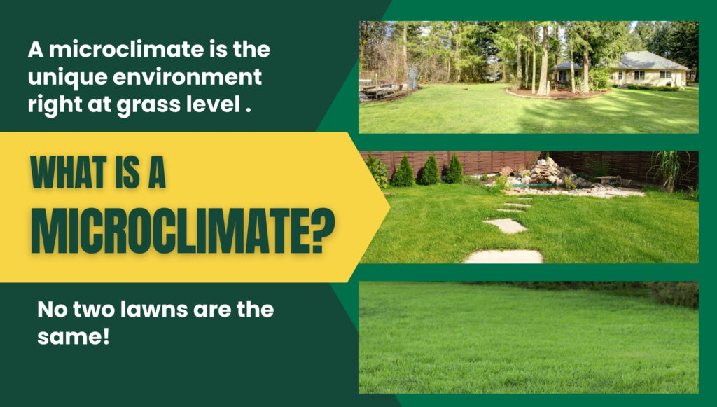 What is a microclimate?