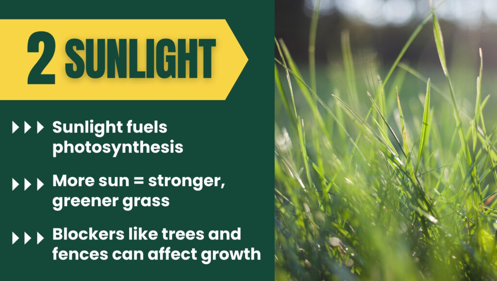 Sunlight - how it effects microclimates