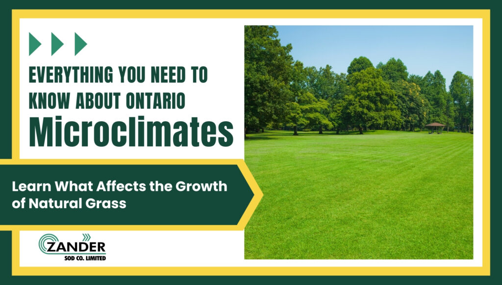 Everything you need to know about Ontario Microclimates