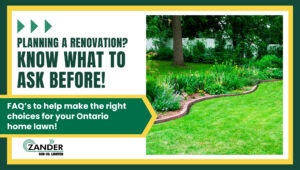 Planning a lawn renovation? What you need to know?