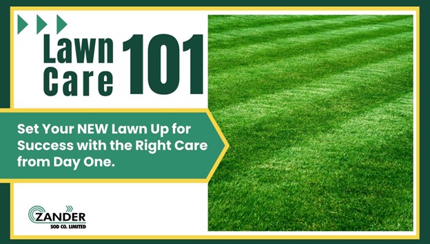 Lawn Care 101