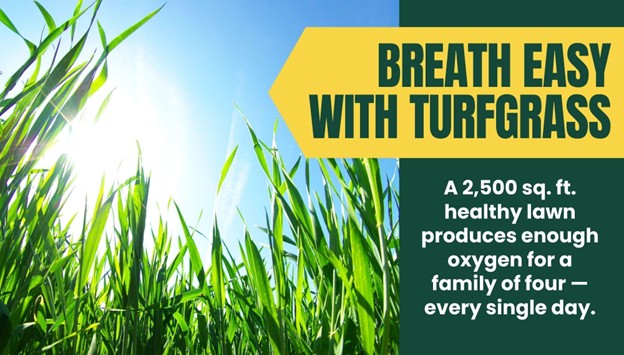 Breath easy with turfgrass