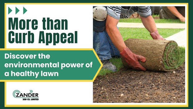 Sod is more than curb appeal - it has environmental benefits