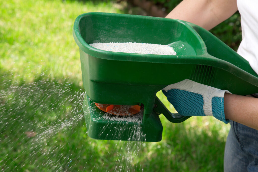 A person is using a green handheld spreader to distribute fertilizer or seeds on a lawn, illustrating garden maintenance or lawn care activities.